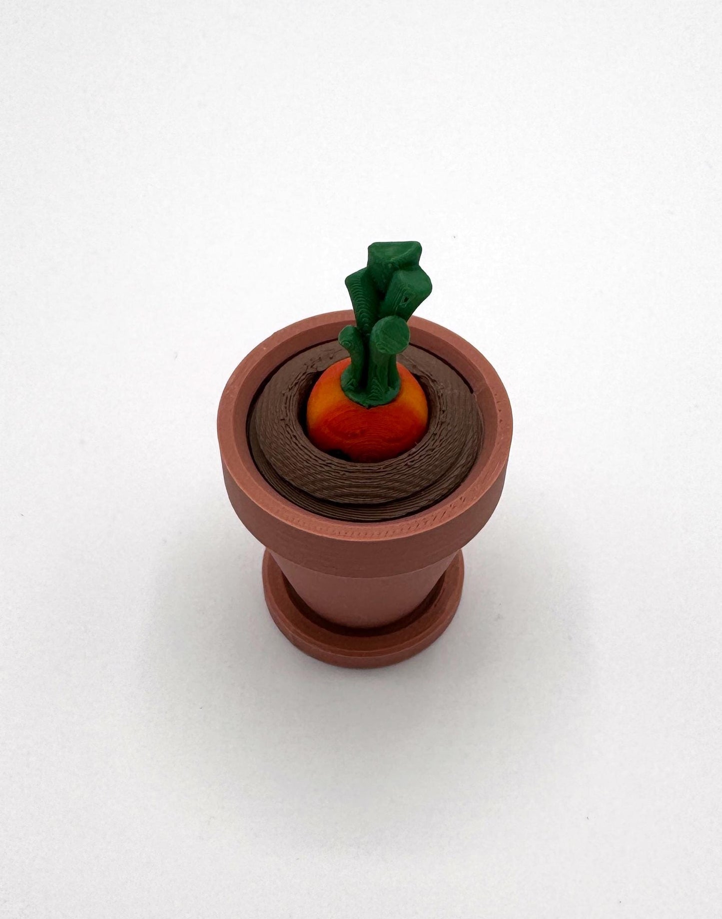 Carrot Surprise!